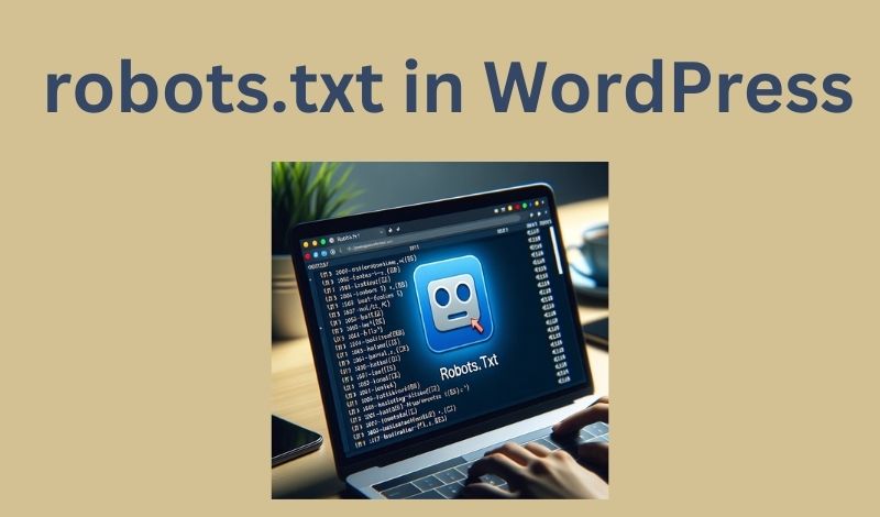 Where is The robots.txt File in WordPress